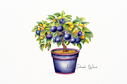 Realistic Tree in Pot Clipart, a Decorative Illustration by New-School-Wave (Thumbnail 4 of 5)