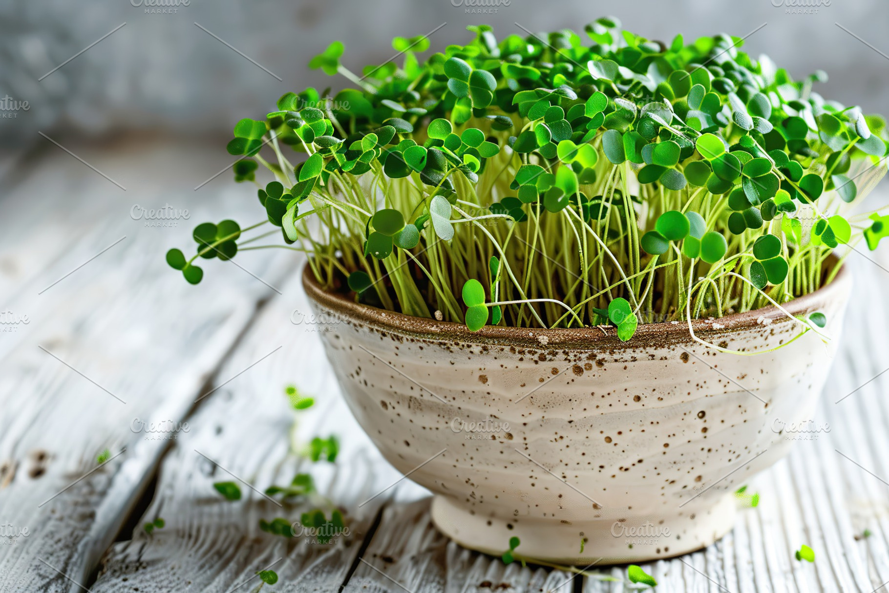 Microgreen broccoli in bowl on wooden background, a Food & Drink Photo by AlyaAnd