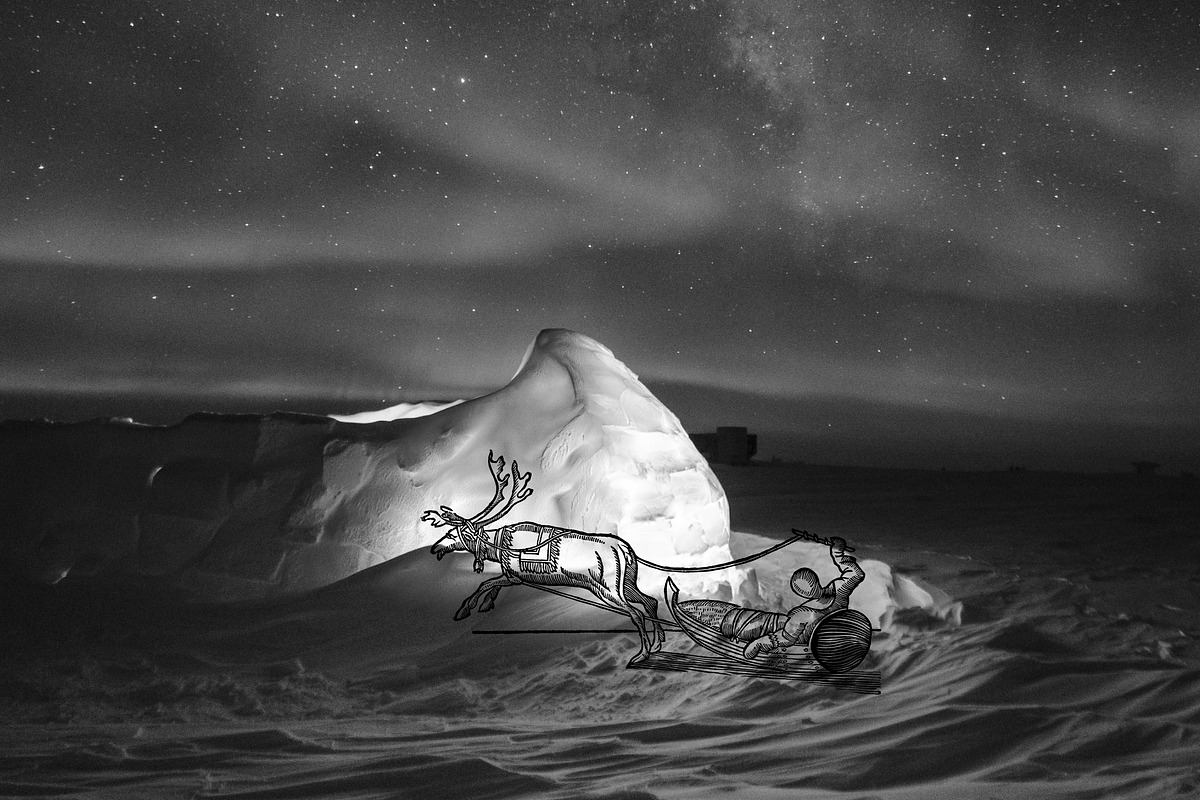 Lapponia Illustrated life in Lapland, an Animal Illustration by Nomad Visuals (Photo 10 of 13)