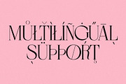 BERBERIS - Display Unique Serif, a Serif Font by Misha Sova (Thumbnail 10 of 14)