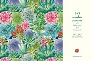 Succulents: 12 images, 6 patterns, an Illustration by Zooza Art (Thumbnail 4 of 9)