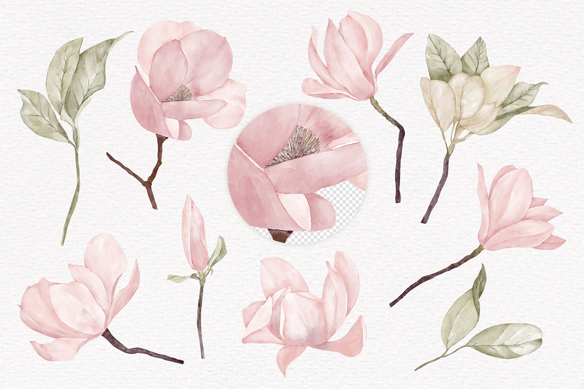 Magnolia Spring Flowers Ribbon Bow, a Decorative Illustration by PawGraphic (Photo 2 of 11)