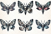 Watercolor Gothic Moth Clipart, an Illustration by DreamCafeArt (Thumbnail 4 of 7)
