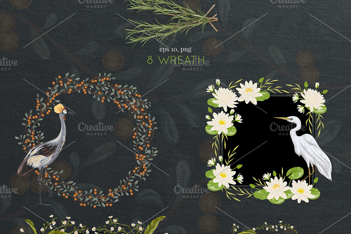 Swamp flora and fauna, an Animal Illustration by kateja (Photo 3 of 6)