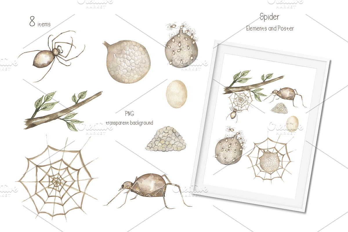 Watercolor Insects Life Cycle, an Education Illustration by MayaNavits (Photo 14 of 18)