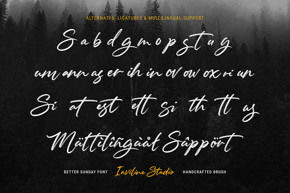 Better Sunday - Brush Script Font, a Script Font by Inviline.co (Photo 9 of 10)