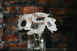 Pink anemones containing flower, floral, and vase