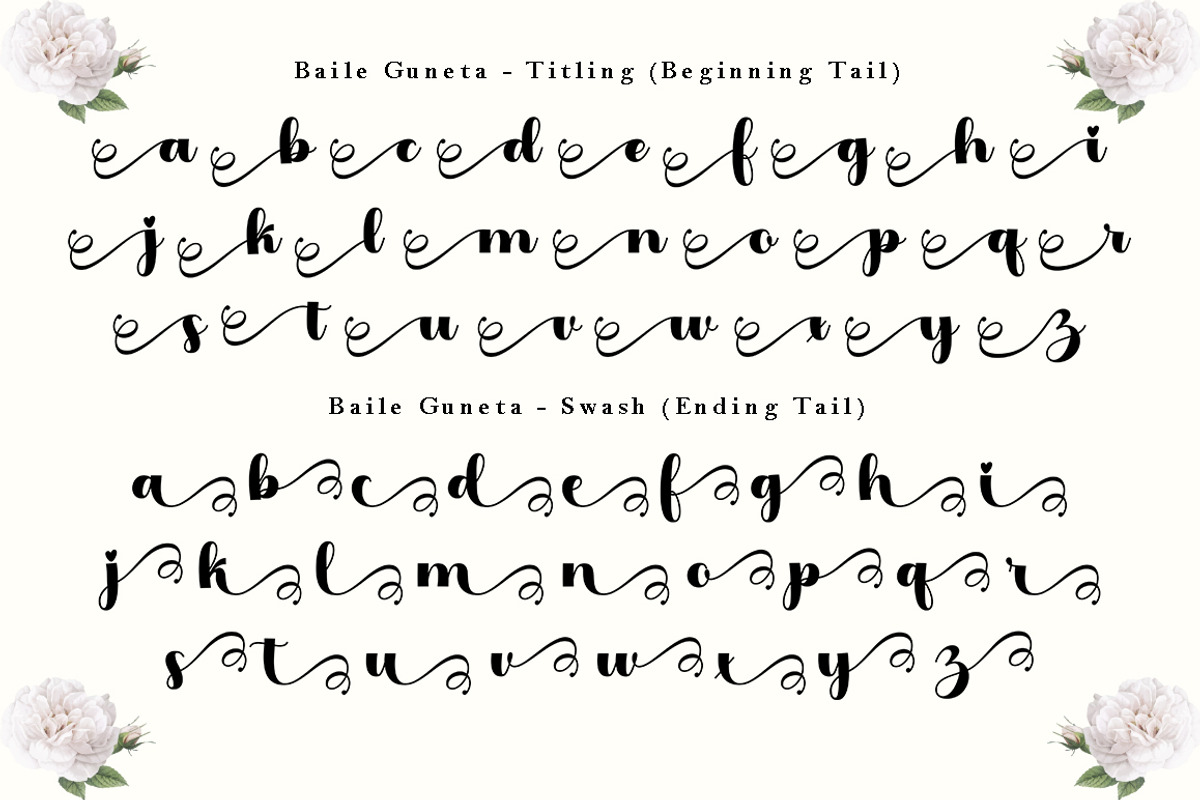 Baile Guneta, a Script Font by TM Type (Photo 9 of 10)