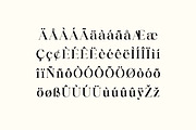 Business Elegance Luxury Serif Font, a Serif Font by UICreative (Thumbnail 8 of 13)