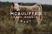 Heart of the Land, a Font by McLetters (Thumbnail 6 of 8)