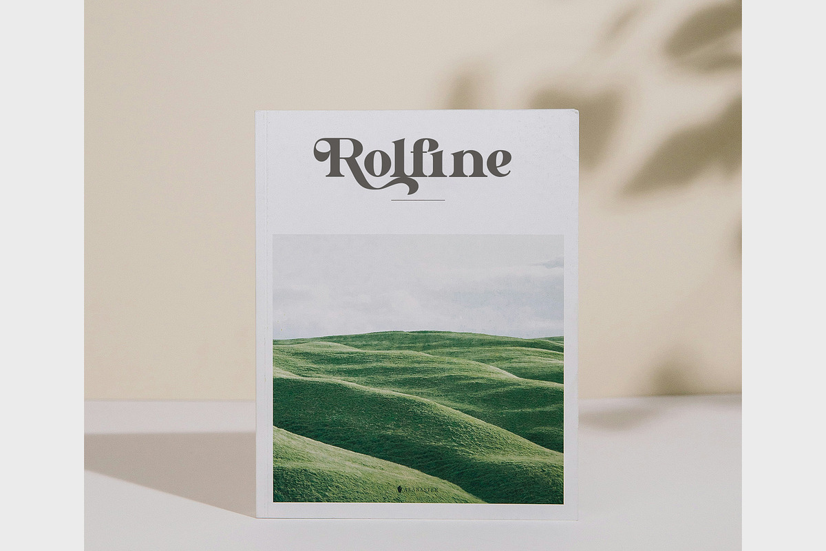 Dibali - Modern Typface Serif, a Serif Font by AnnofaType (Photo 3 of 8)