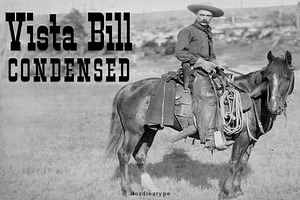 Vista Bill Condensed