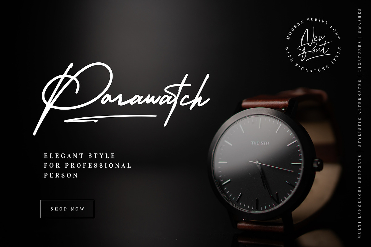 Amerika Signature, a Script Font by Scratch Design (Photo 2 of 8)