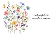 Wild flowers, butterflies, dragonfly, a Decorative Illustration by Larisa Maslova (Thumbnail 6 of 11)