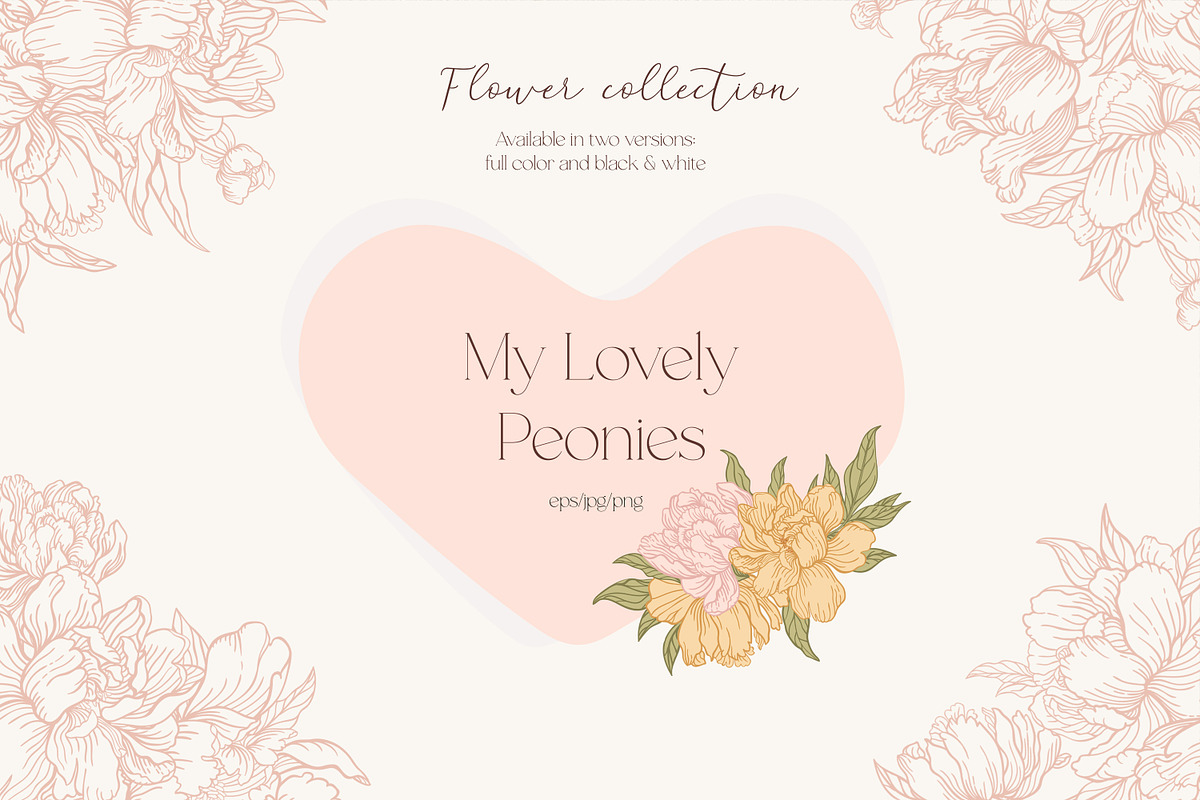 My lovely peonies. Color & B&W, an Illustration by Lisla (Photo 1 of 11)