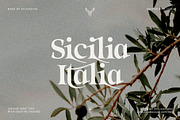 Eighties Nostalgia - Ligature Serif, a Serif Font by SilverStag Type Foundry (Thumbnail 10 of 20)