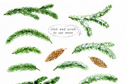 Conifer Branches Watercolor clipart, a Decorative Illustration by AqwaColor (Thumbnail 2 of 3)