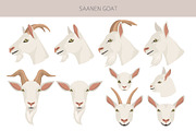 Saanen Goat, an Animal Illustration by pet design shop (Thumbnail 4 of 5)