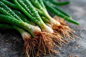 Dew-covered green onions resting on a dark surface with roots visible and water, a Food & Drink Photo by AlyaAnd