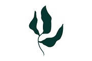 Vector Seaweed Graphics, a Background Graphic by Dorey Kronick Art&Design (Thumbnail 9 of 9)
