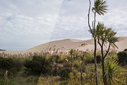Travel & Landscape Lightroom Presets, an Action Add-On by PhotoMarket (Thumbnail 23 of 44)