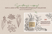 Skin Care Botanicals | 30 designs, a Healthcare Illustration by amber&ink (Thumbnail 8 of 9)