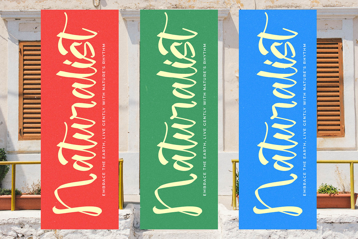 Magic Soft Bold Handwritten Font, a Script Font by stylishtype.co (Photo 6 of 15)