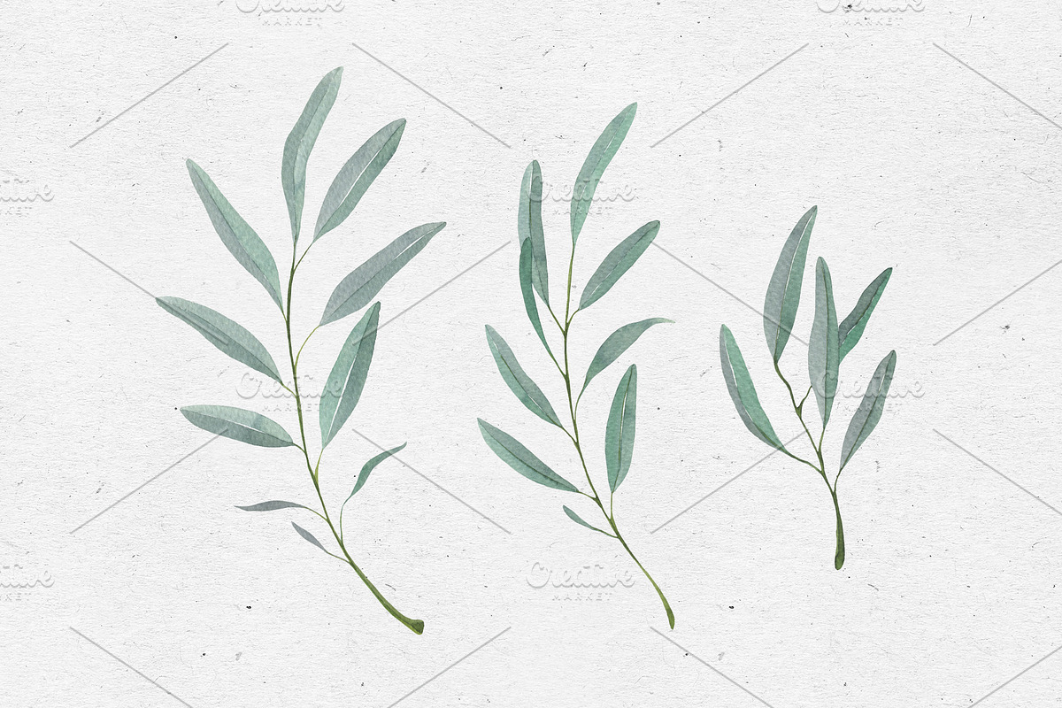 Watercolor Olives, an Illustration by Maria's little shop (Photo 5 of 7)