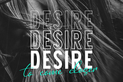 Darling Romans # Font Duo, a Script Font by Larin Type Co. (Thumbnail 4 of 11)