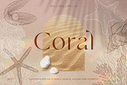 Coral - Marine Collection, an Illustration by PatrushevaYana (Thumbnail 1 of 8)