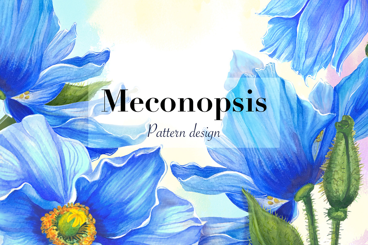 Meconopsis flowers Seamless Pattern, a Pattern Graphic by Yana Dobrik (Photo 1 of 11)