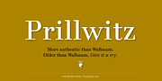Prillwitz PRO, a Serif Font by preussTYPE (Thumbnail 1 of 9)