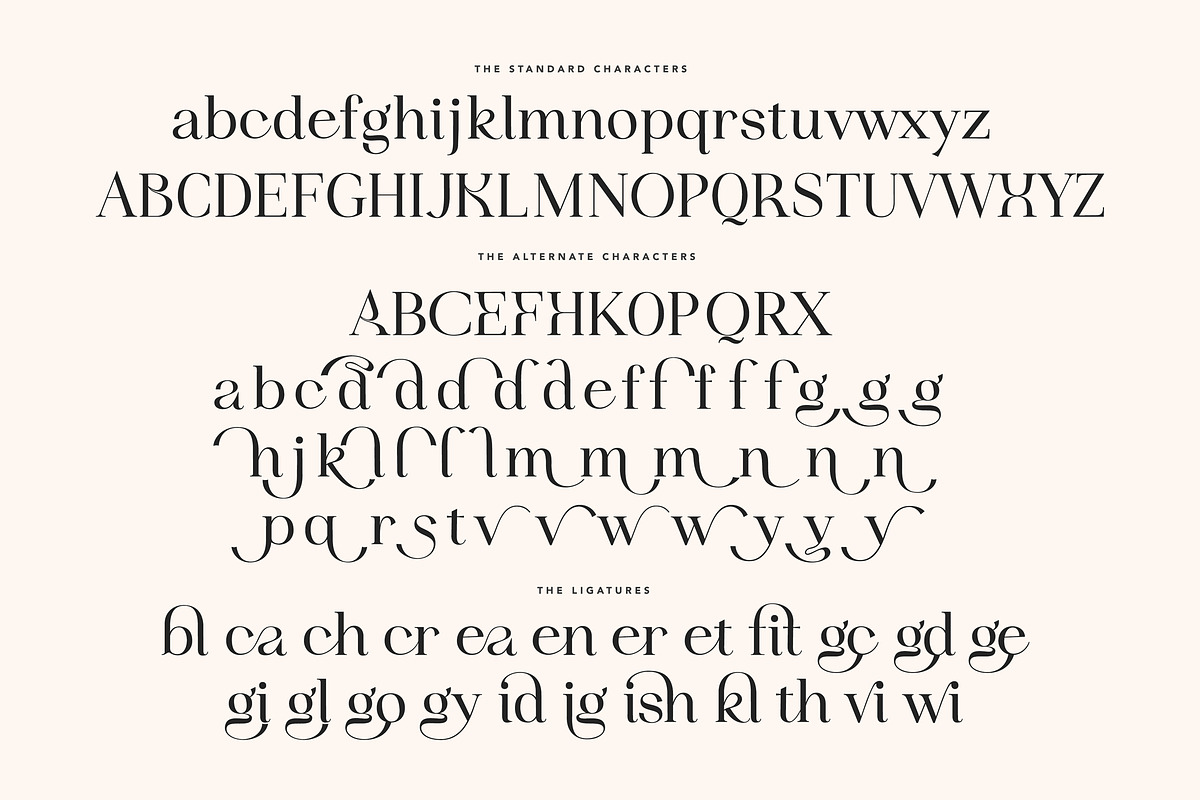 Idealist Serif, a Serif Font by Nicky Laatz (Photo 33 of 34)