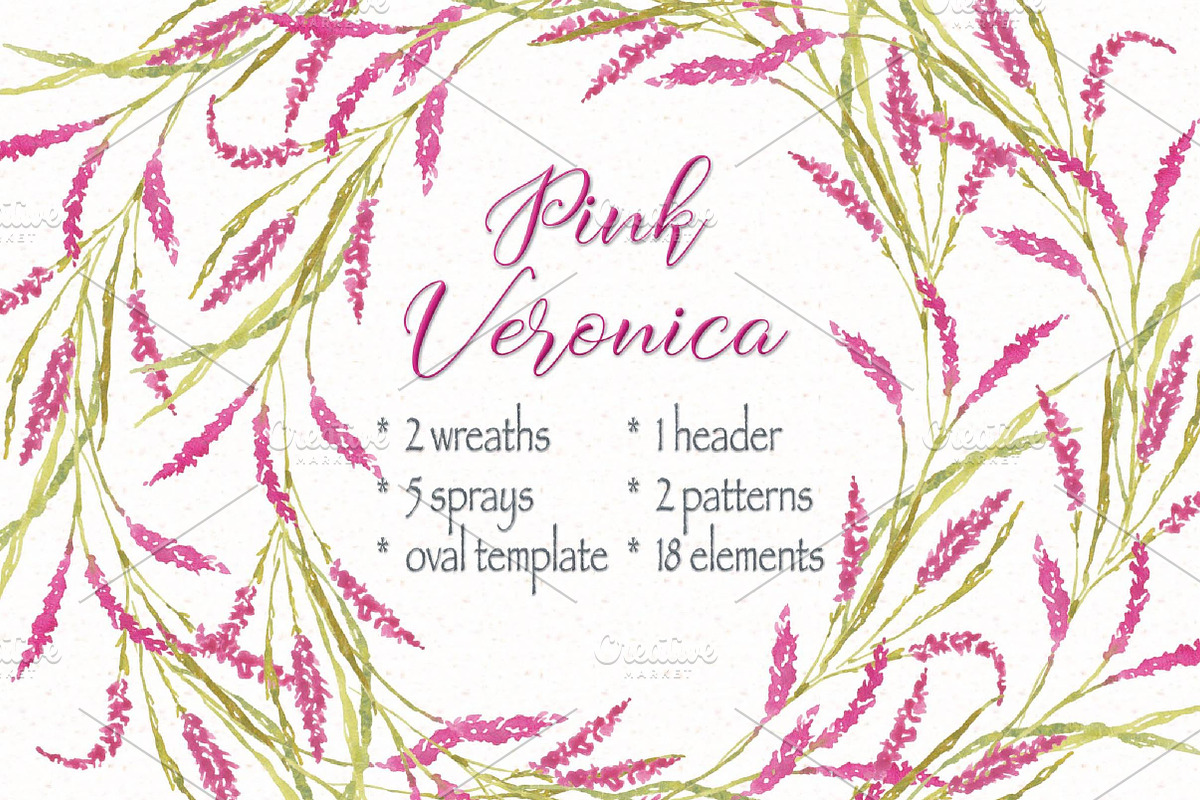 Pink Veronica Watercolor Clip Art, an Illustration by fashionaddict (Photo 1 of 8)