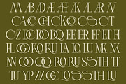 Lunoriels – Classic Serif Font, a Serif Font by Invasi Studio (Thumbnail 9 of 13)