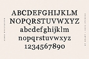 Hallelujah Serif | Handwritten Font, a Serif Font by Heart + Soul Studios (Thumbnail 10 of 12)