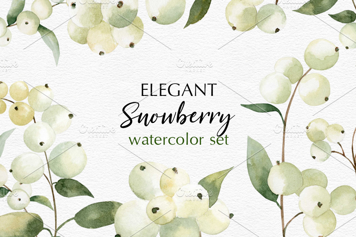 Watercolor Snowberry set, a Graphic by Colibri Watercolor (Photo 1 of 5)