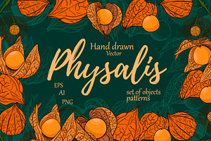 Hand drawn vector physalis.Tomatillo