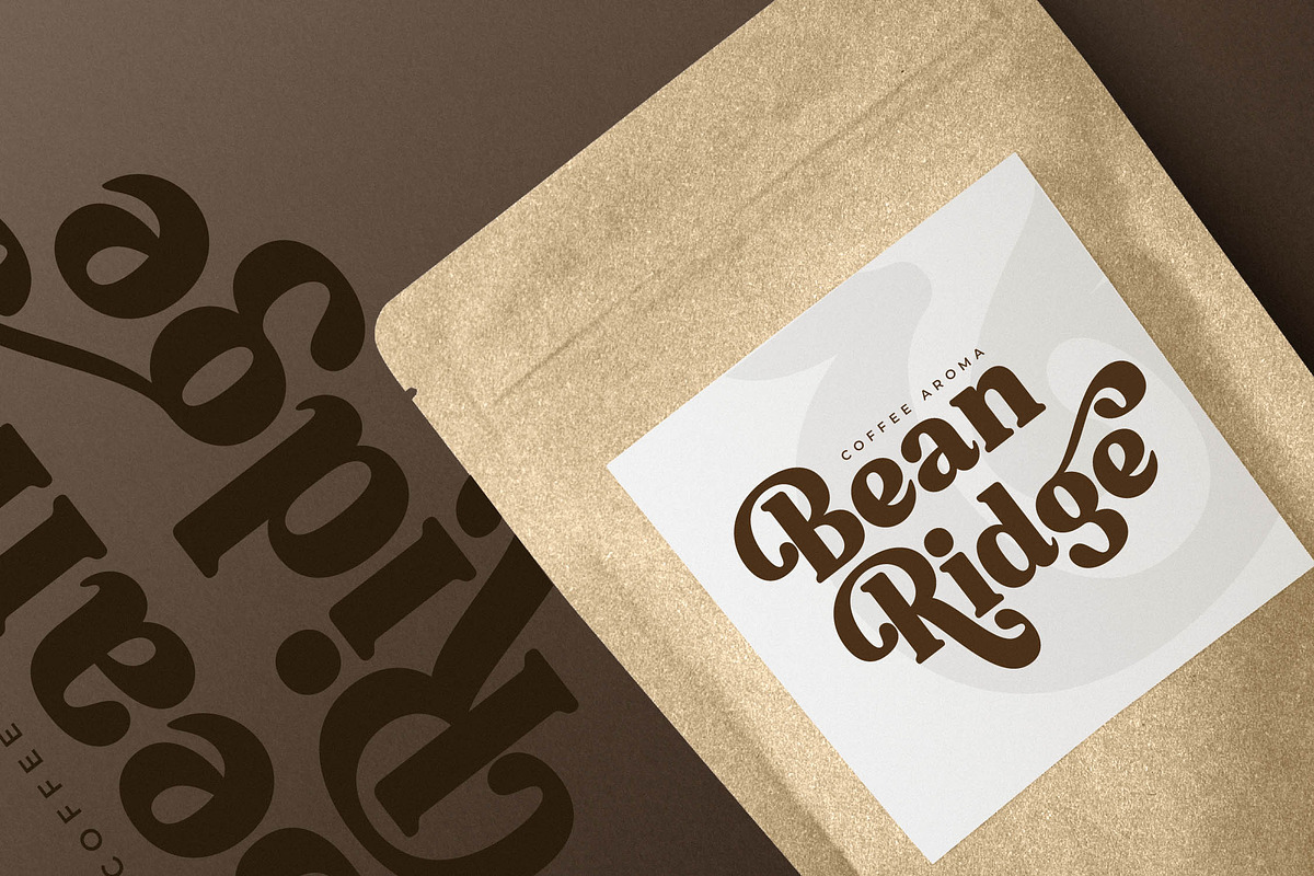 Bristle Radiant Modern Retro Stylish, a Serif Font by Letterena Studios (Photo 11 of 15)