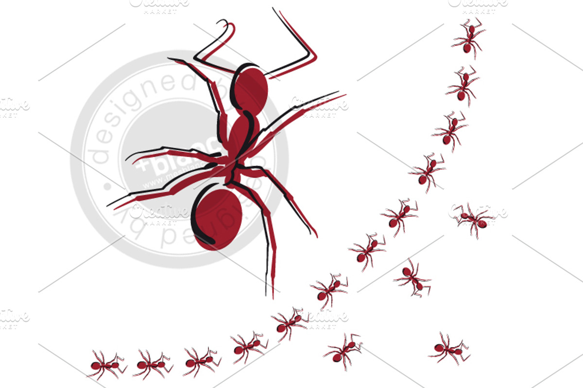 Ant, an Animal Illustration by mesblanc