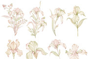 Watercolor Pink Iris Clipart, a Decorative Illustration by ArtbyHien (Thumbnail 4 of 6)