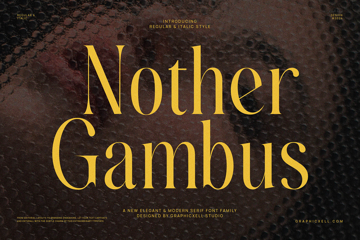 Nother Gambus Family Serif Font, a Serif Font by Graphicxell (Photo 1 of 8)