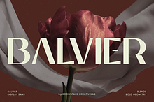 Balvier – Modern Luxury Sans Font