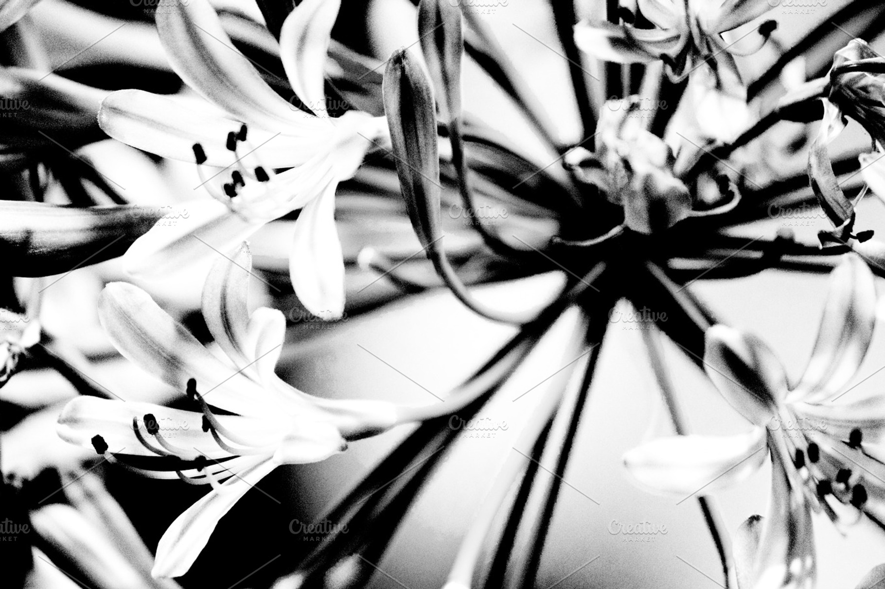 Upclose Stock Photo