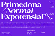 Quarty Serif, a Serif Font by Propertype (Thumbnail 3 of 14)