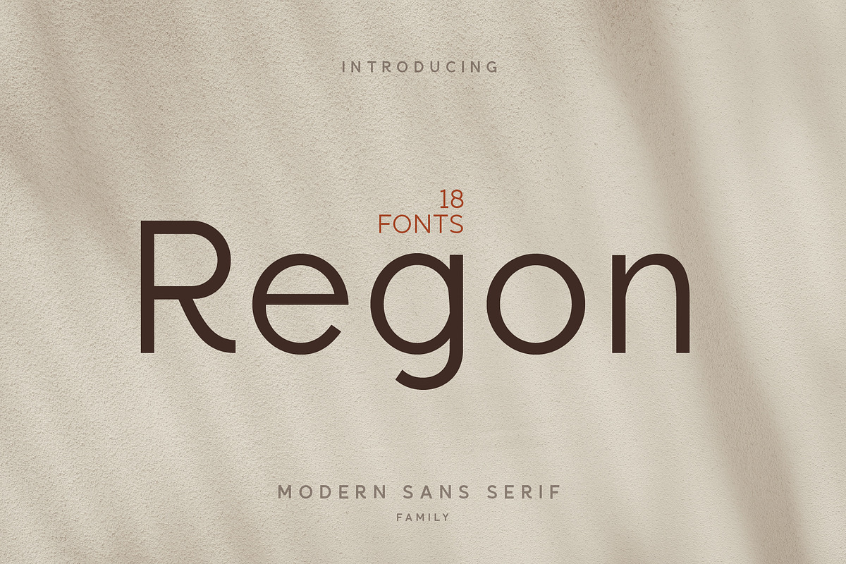 Regon Modern Sans Serif Font, a Sans Serif Font by Dicubit (Photo 1 of 10)