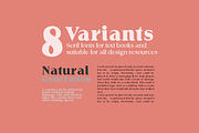 Egbert//Serif 8 varians, a Serif Font by groens (Thumbnail 4 of 6)