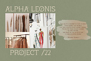 Quiana Serif, a Serif Font by Alphaleonis_std (Thumbnail 5 of 9)