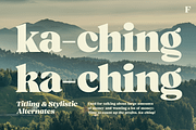 Ashford Stylish Serif, a Serif Font by Fenotype (Thumbnail 5 of 11)