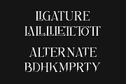 Bilargy Classic Serif Font, a Serif Font by Maryamtype Studio (Thumbnail 10 of 15)